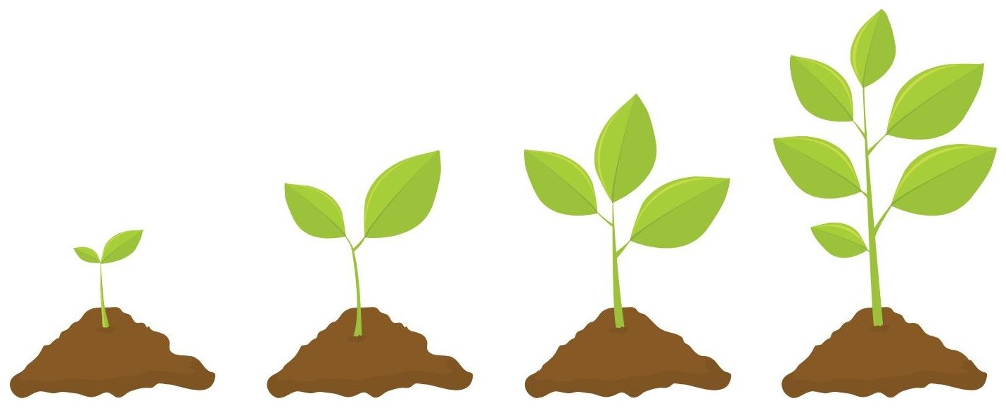 Grow