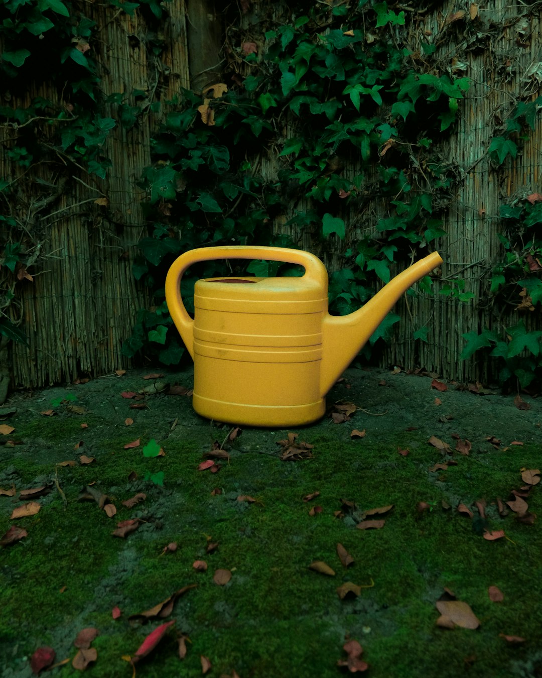 Watering Can