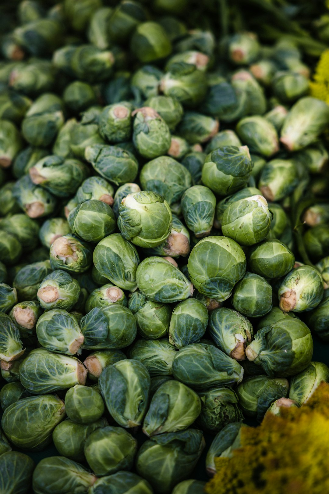 Brussels Sprouts