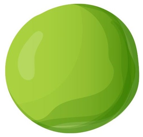 Pea