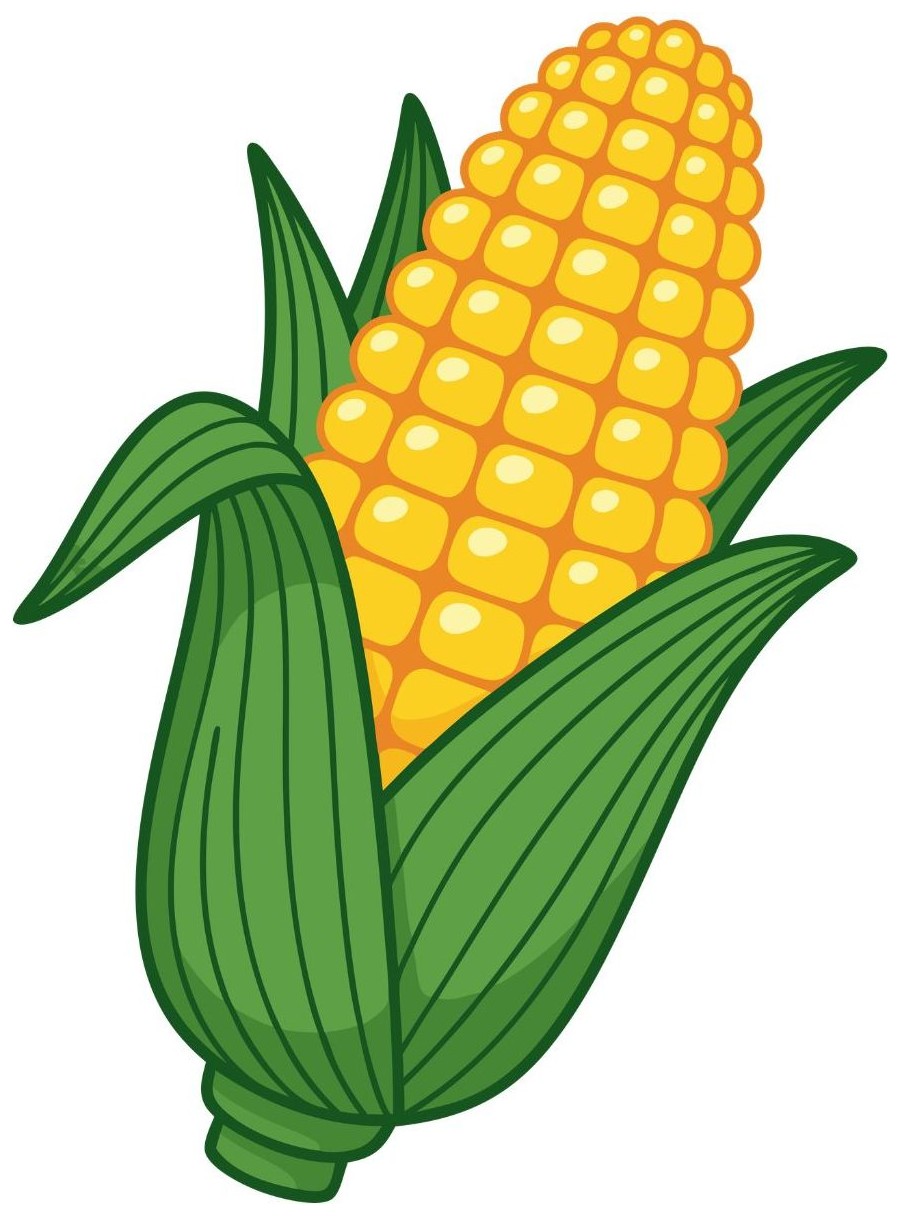 Corn