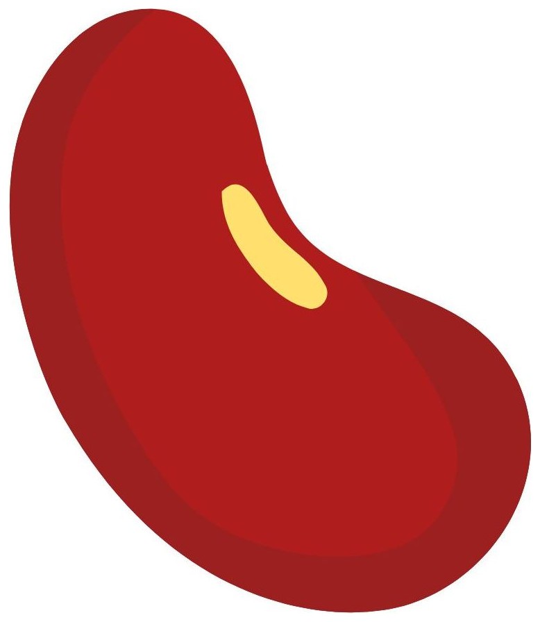 Bean