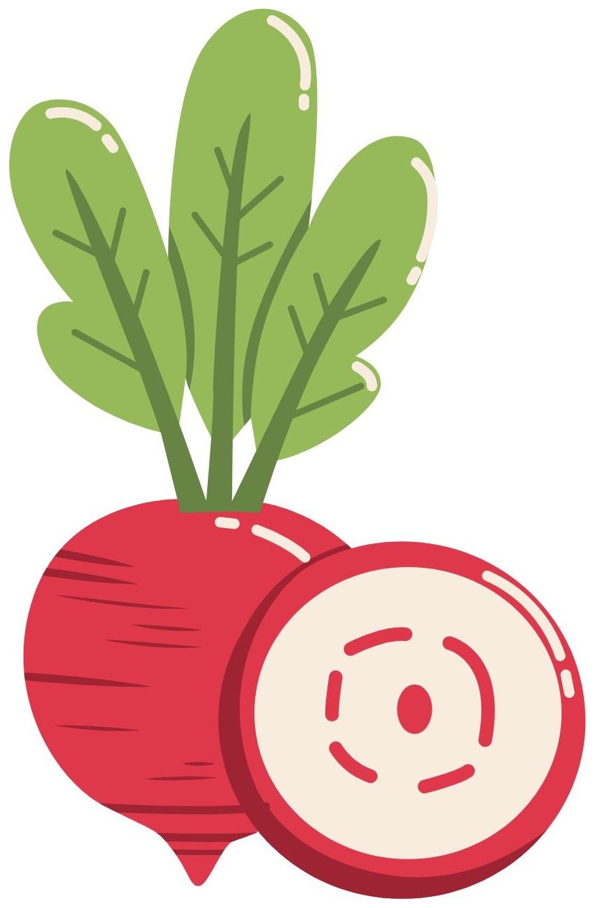Radish