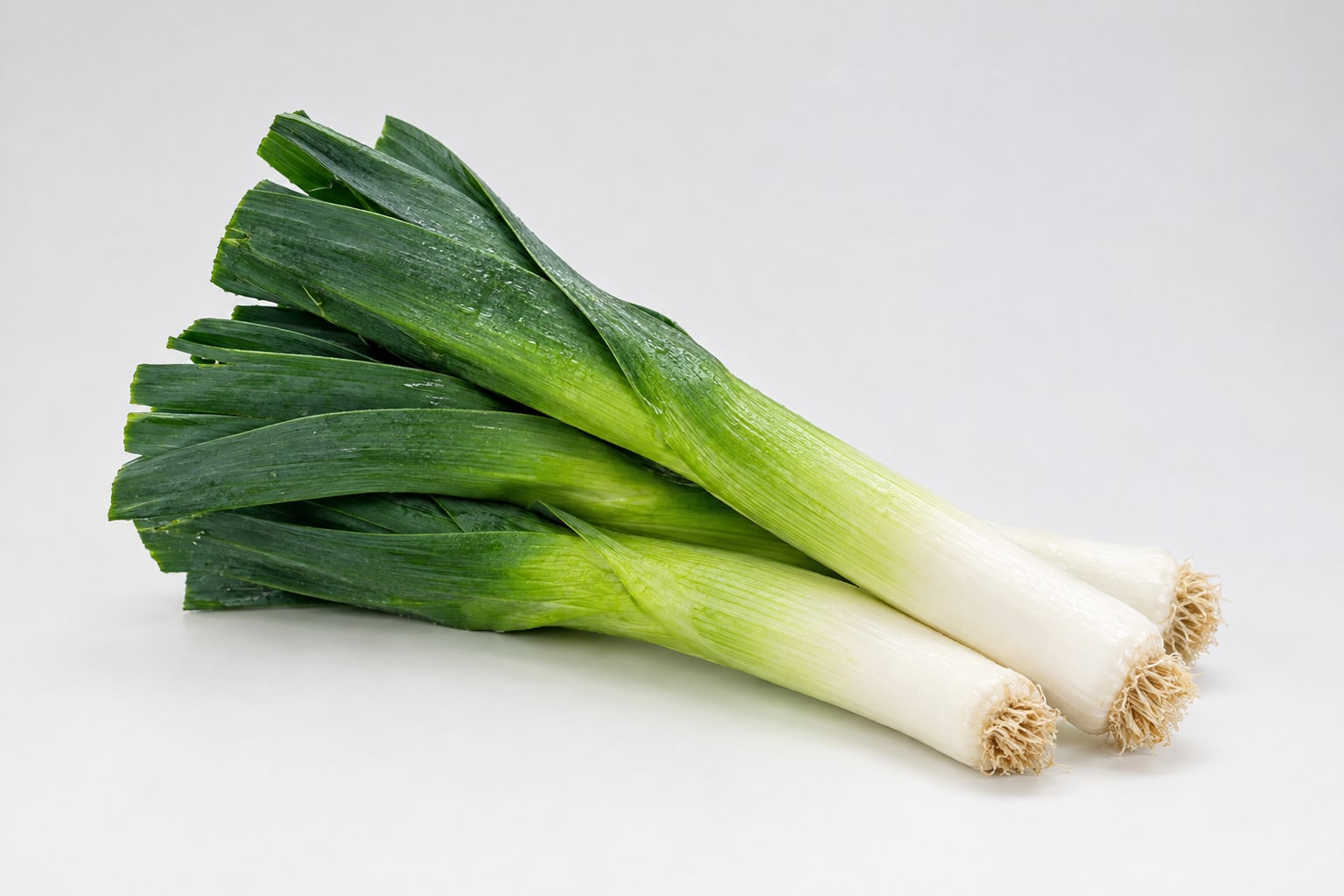 Leek