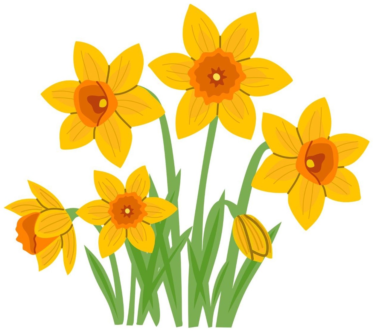 Daffodils