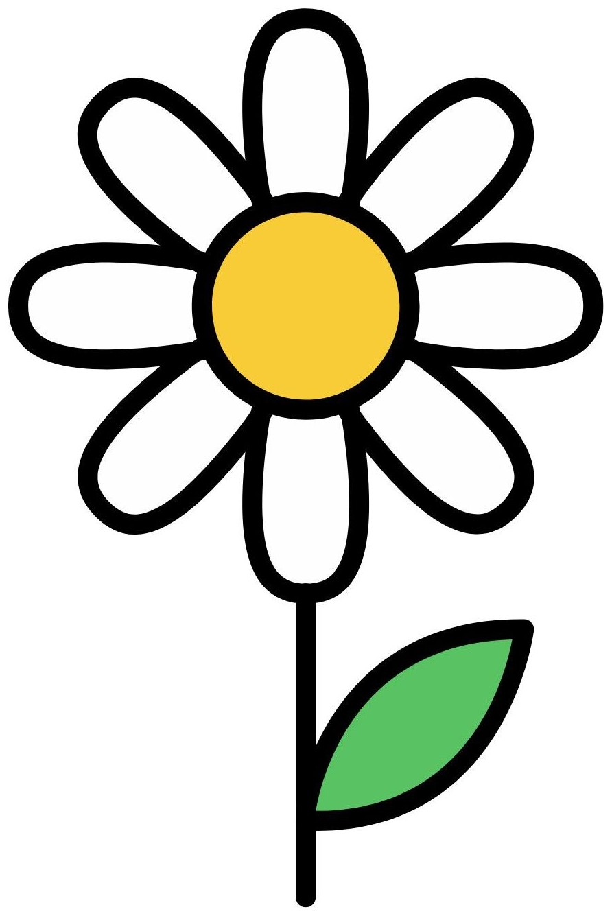 Daisy