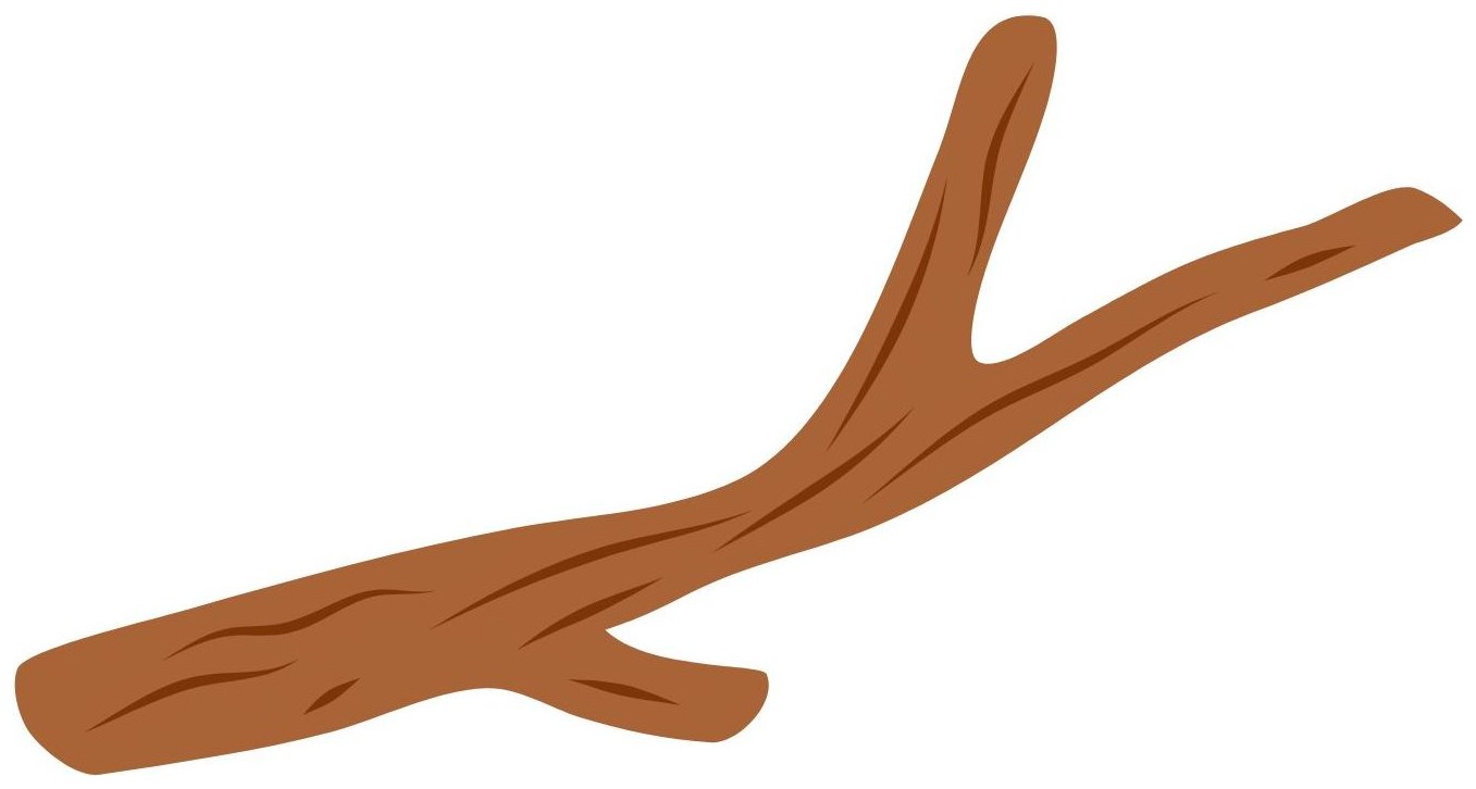 Branch