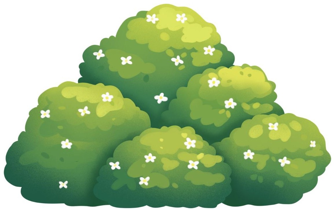 Bush