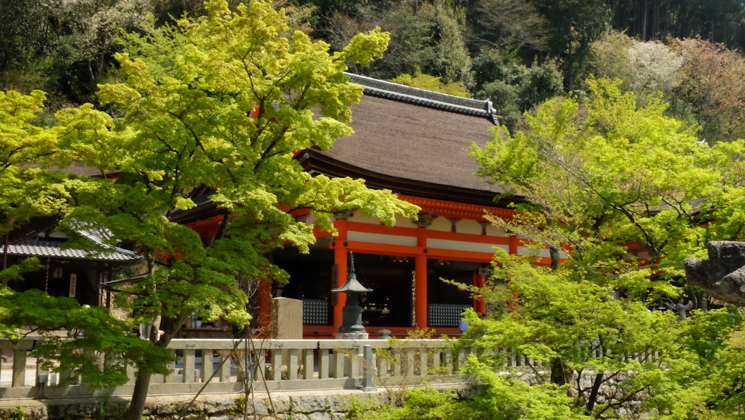 Did you go somewhere special last spring?