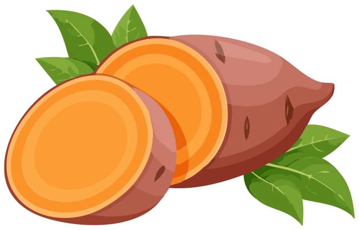 Sweet potato