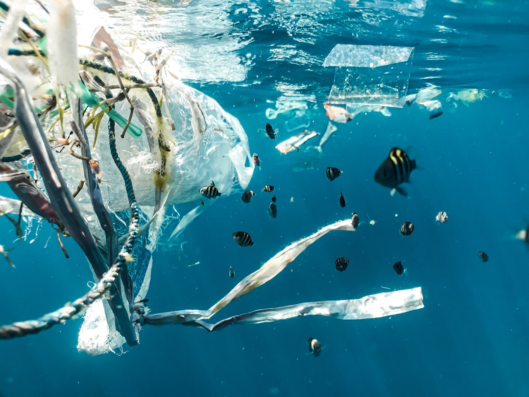 Water Pollution