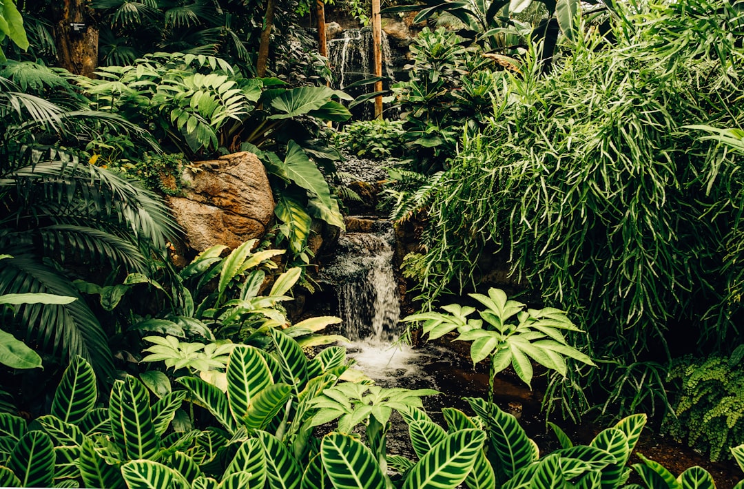 Biodiversity