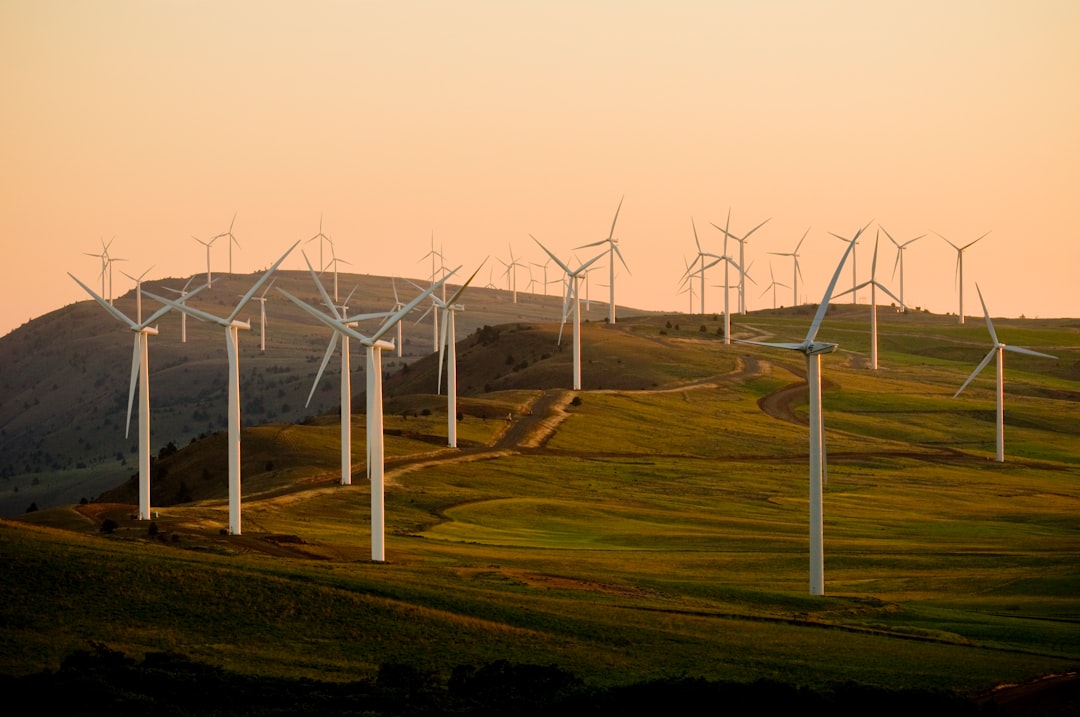 Renewable