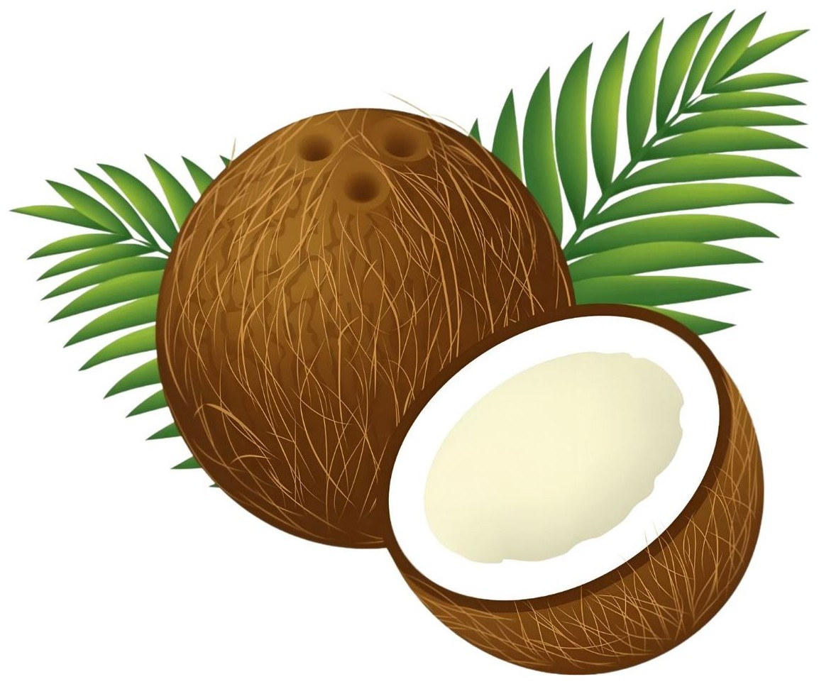 Do you like coconuts? — - Yes, I do.
No, I don't.