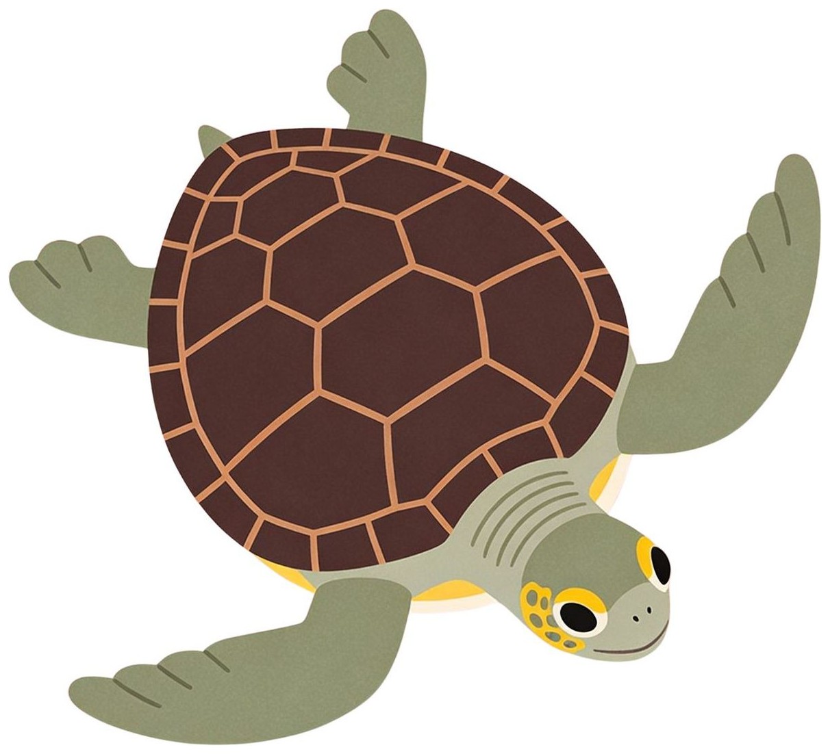 Turtle
