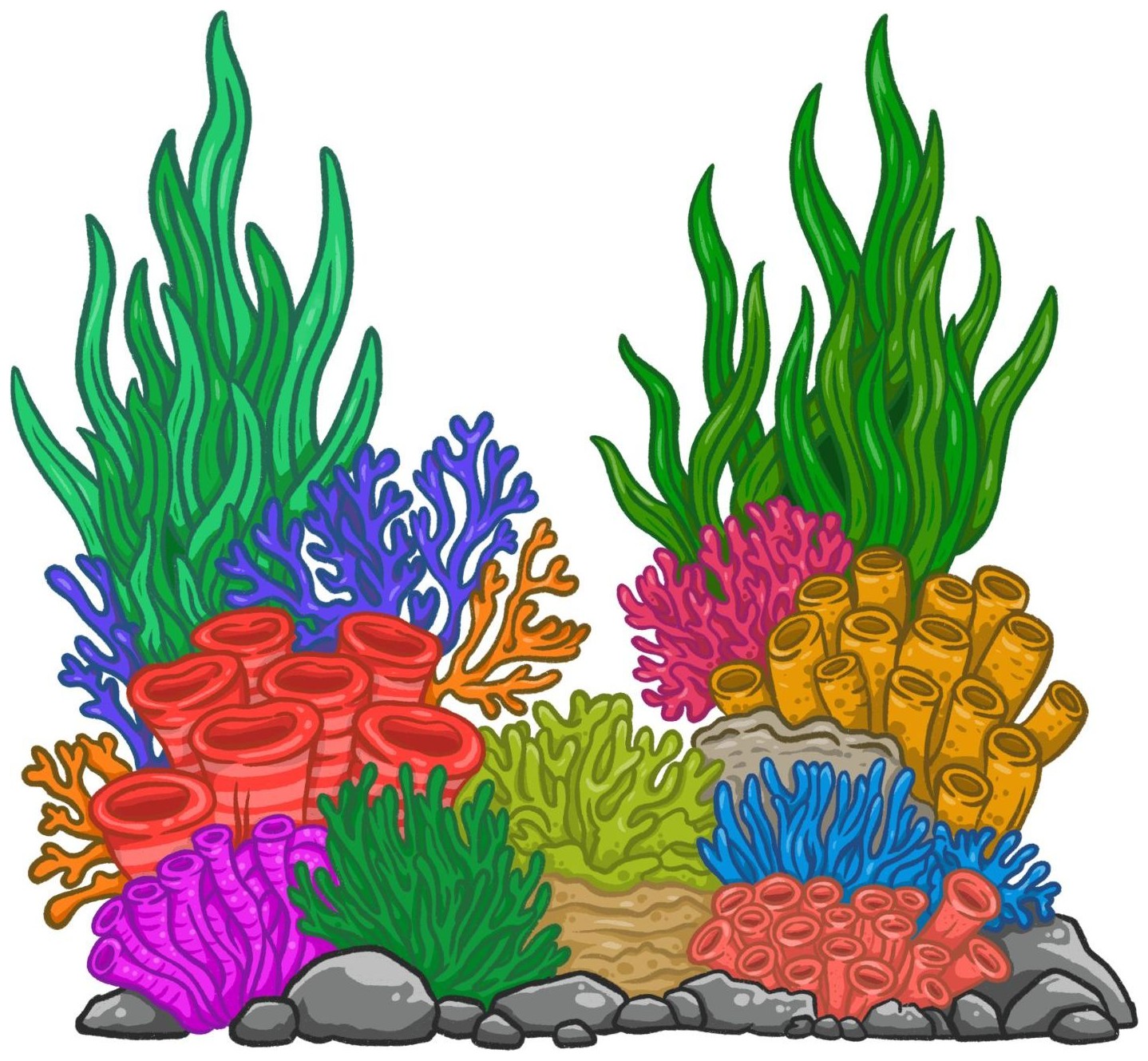 Reef