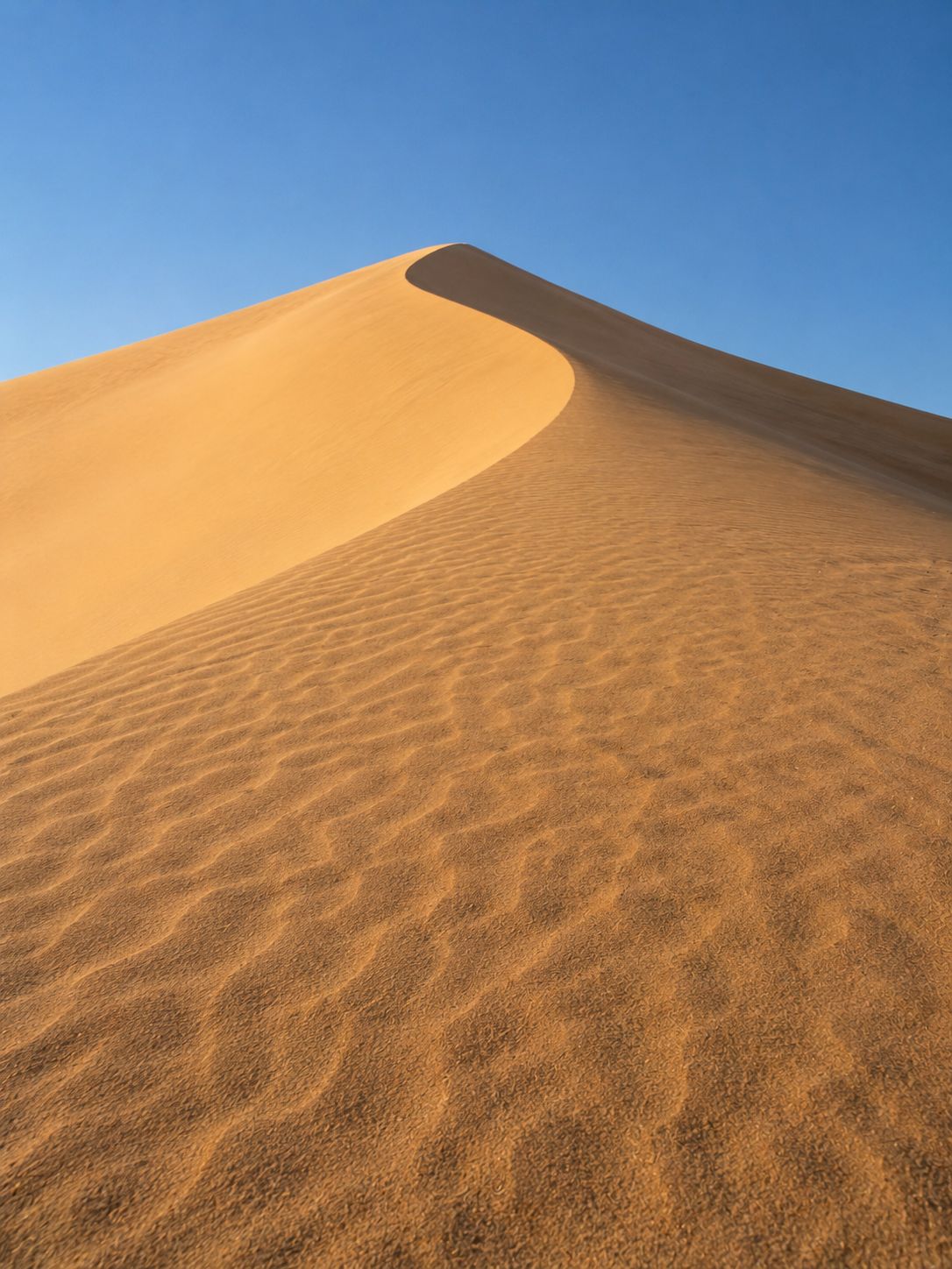Dune