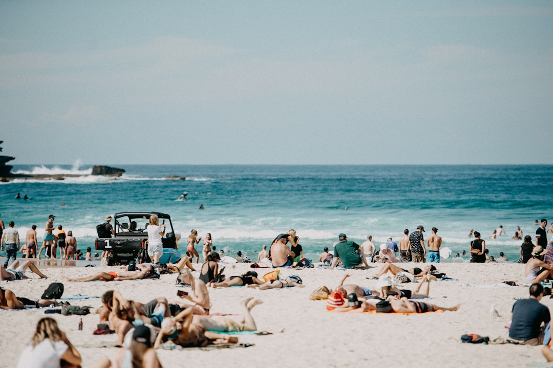 Did you go to the beach last summer or last year?
