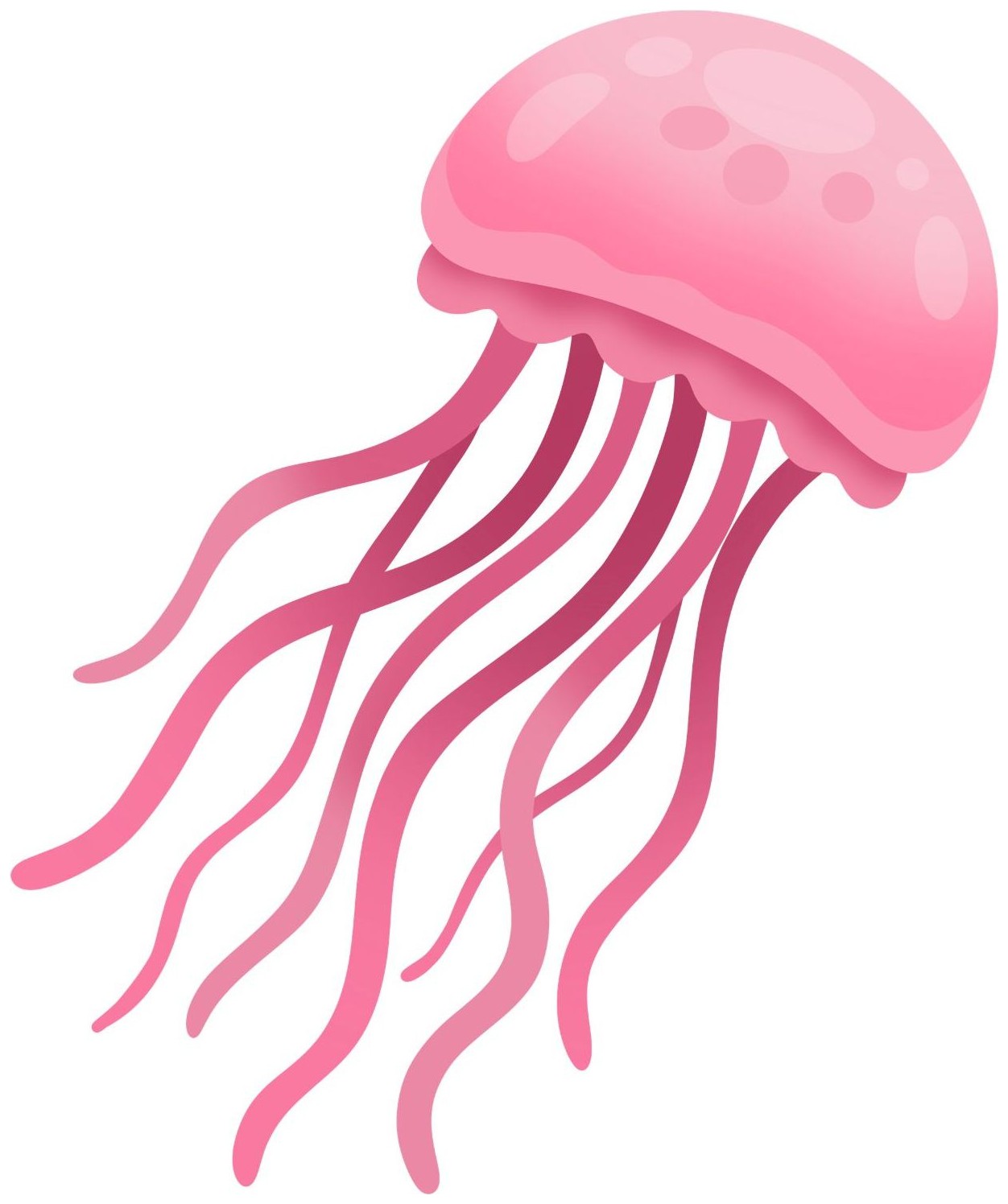 Jellyfish