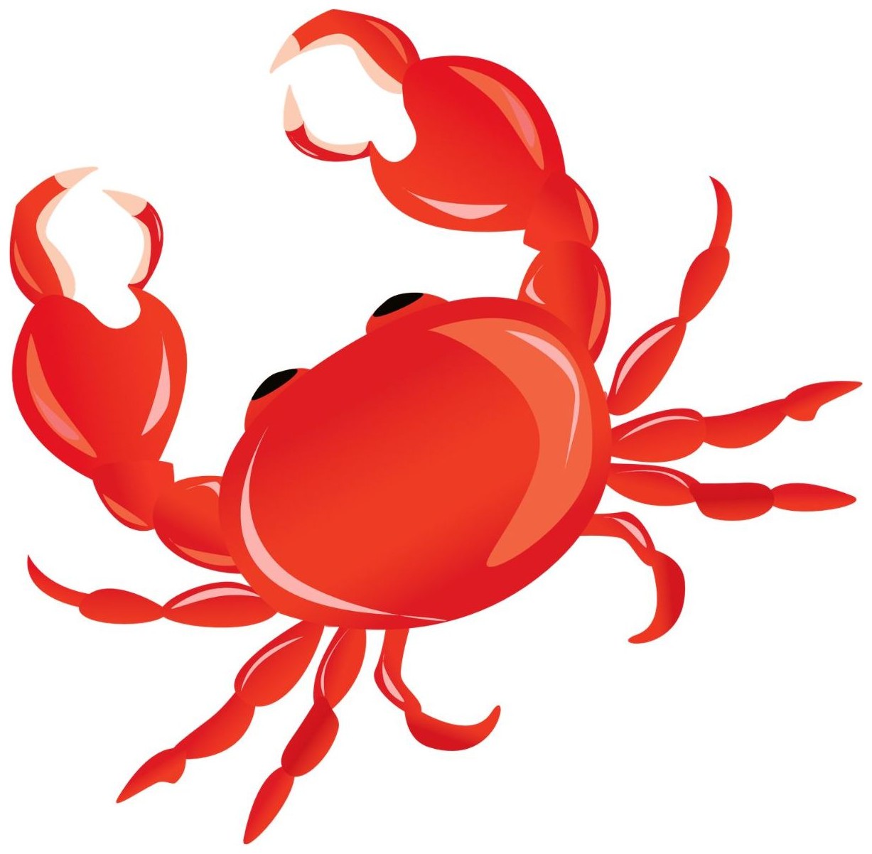 Crab
