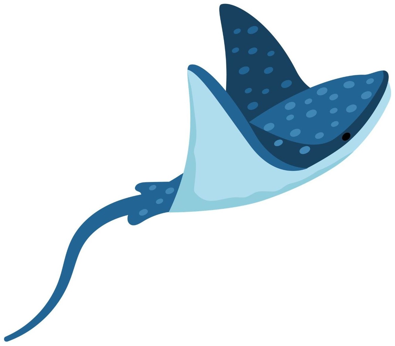 Stingray