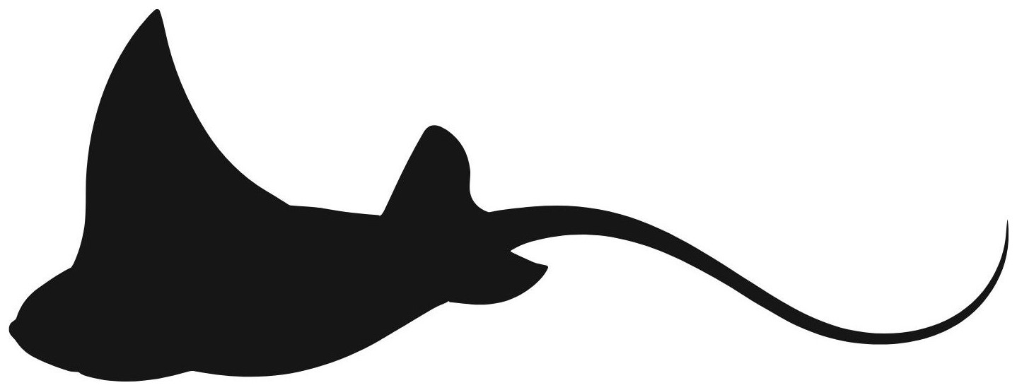 Guess the Shadow Ocean Creature!