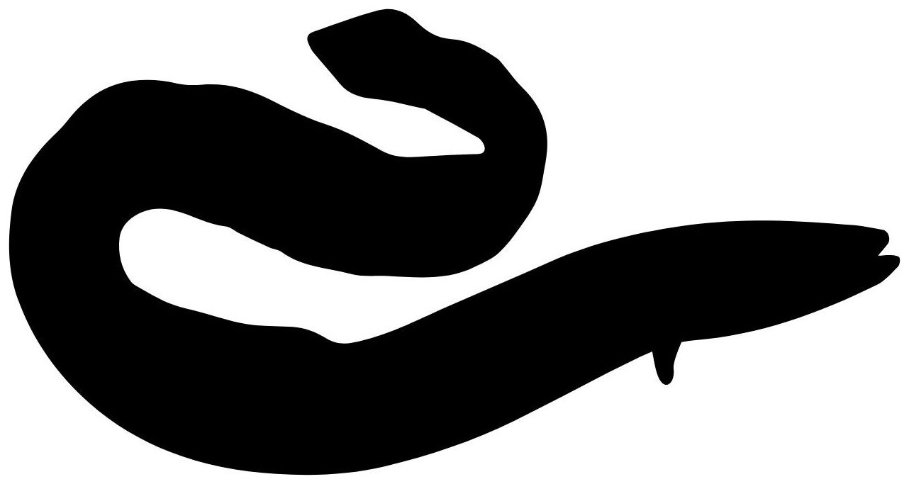 Guess the Shadow Ocean Creature!