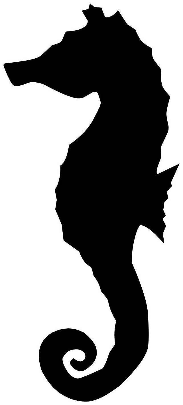Guess the Shadow Ocean Creature!